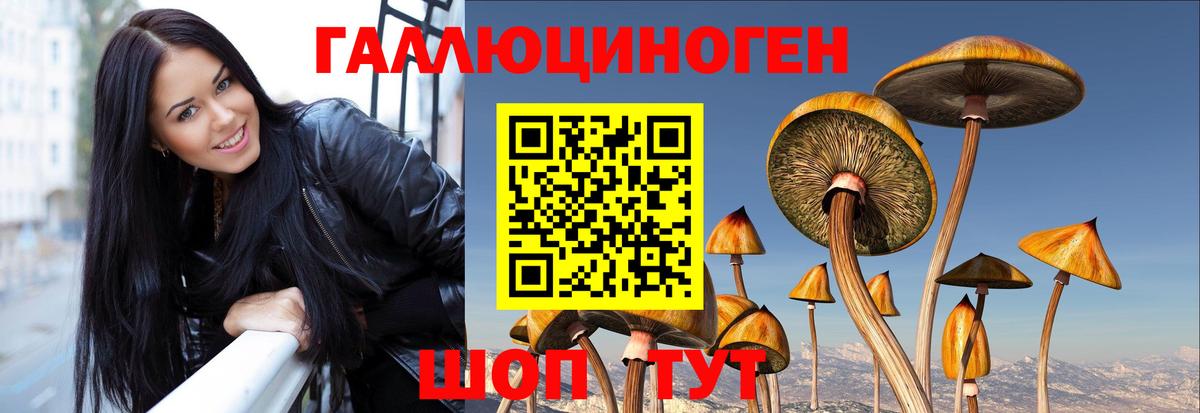 Алапаевск  Псилоцибиновые грибы Psilocybe  Псилоцибиновые грибы прущие грибы  Вход с VPN 